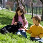 How to choose a dog for children?