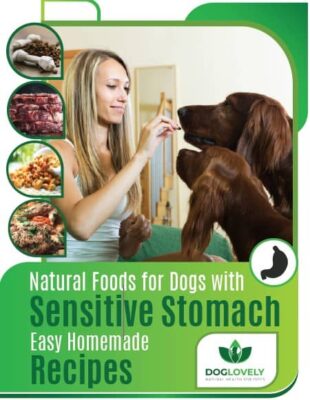 [Best] Natural Food for Dogs with Sensitive Stomach