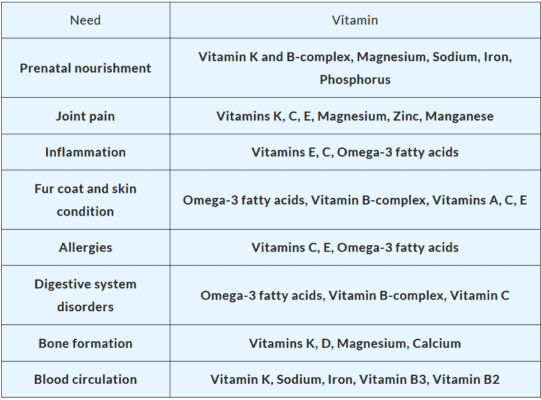 Ultimate Guide To Natural Vitamins for Dogs