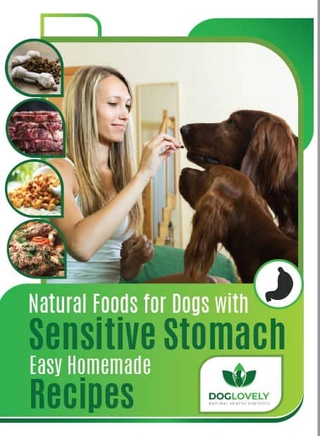 Discovered – Best (+homemade) long lasting and natural dog chews