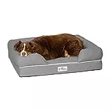 Top Comfy Beds for Bernese Mountain Dogs