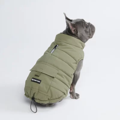 How do you know if your dog needs a winter jacket? 